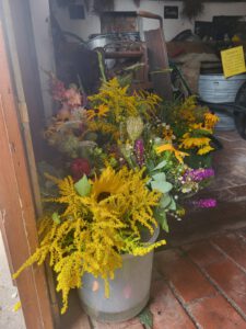 01_IMG-20241206-WA0001