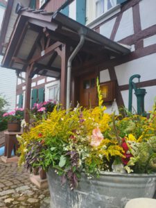 01_IMG-20241206-WA0002