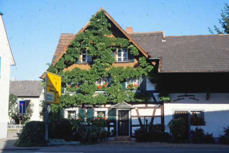 Haus Hund